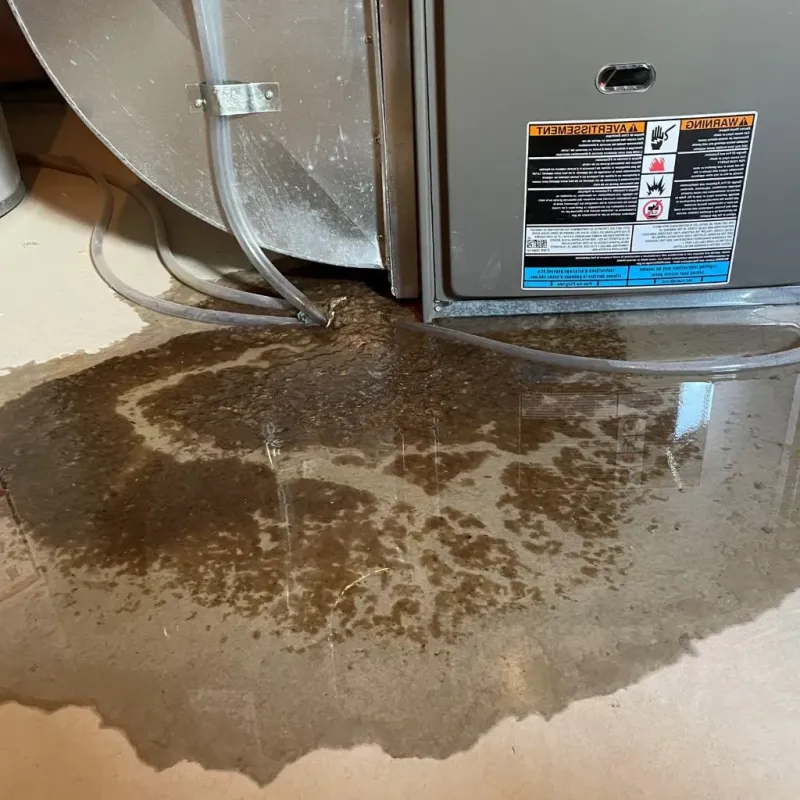 Pipe Burst and Leak Restoration in Butler County, OH