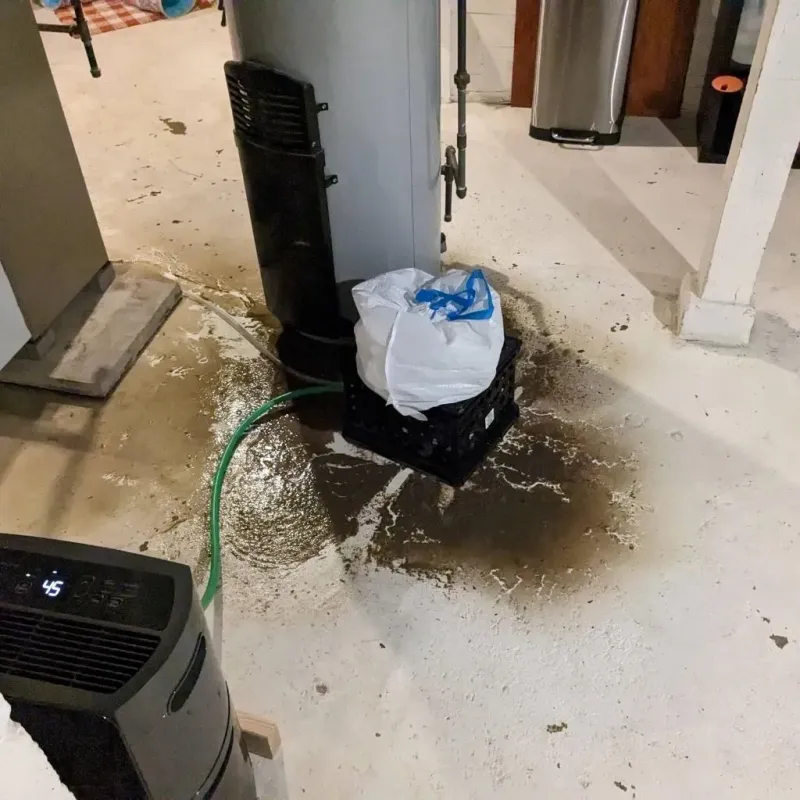 Sewage Backup Cleanup Service in Butler County, OH